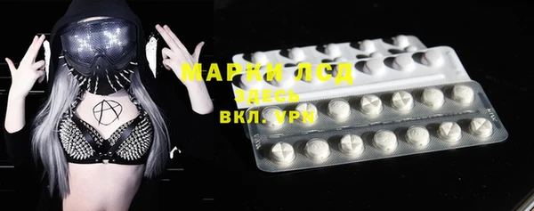 PSILOCYBIN Белокуриха