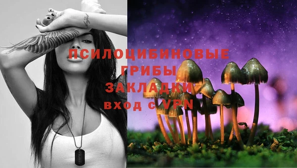 бошки Белоозёрский