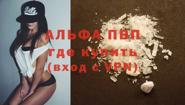 PSILOCYBIN Белокуриха