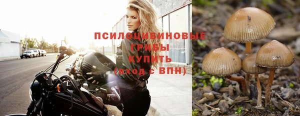бошки Белоозёрский