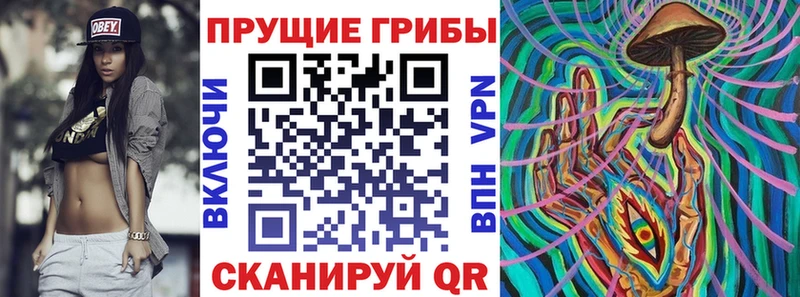 МЕГА ССЫЛКА  Салаир  Псилоцибиновые грибы прущие грибы 
